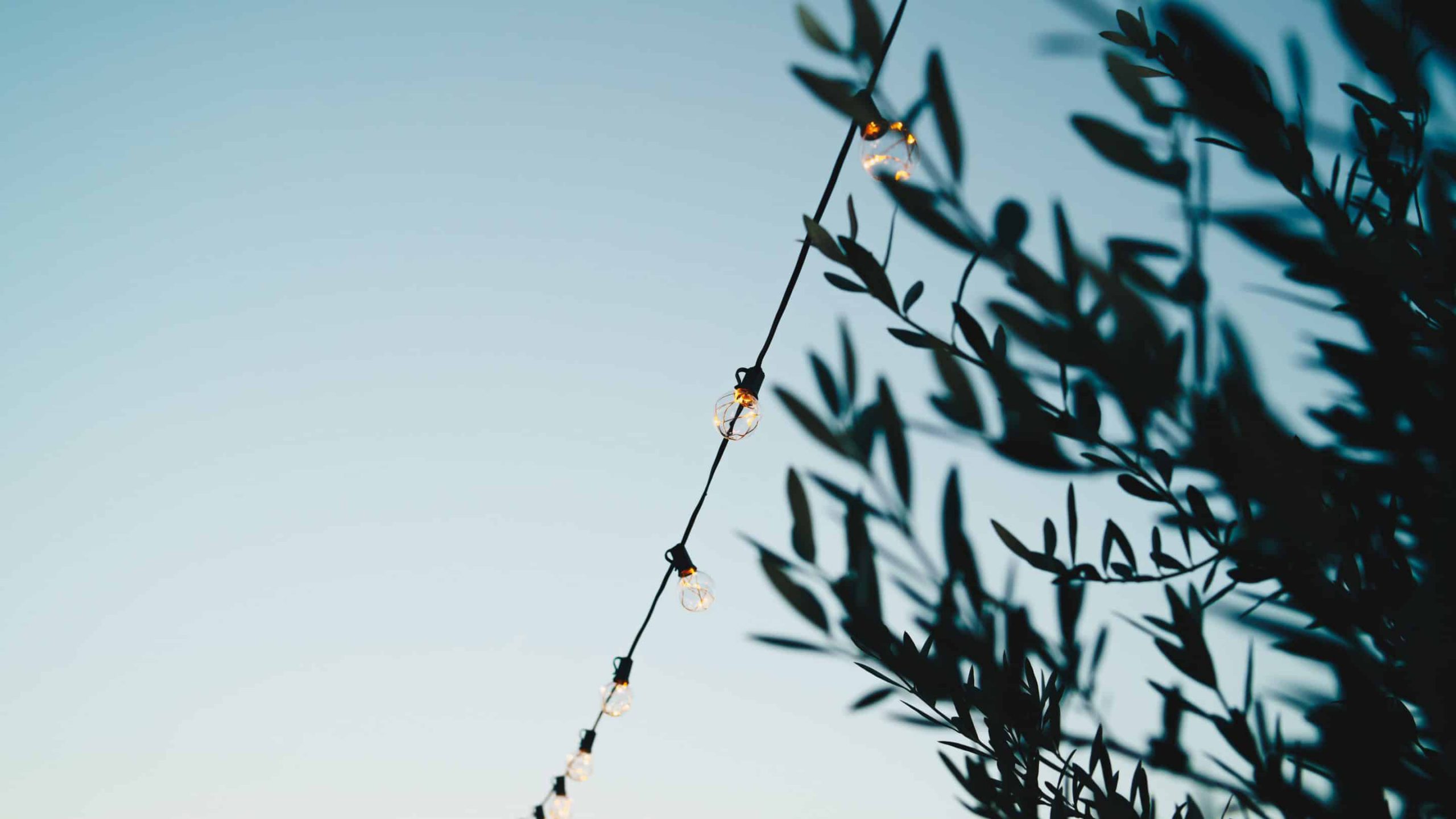 Hartaus: Totuus ja harha